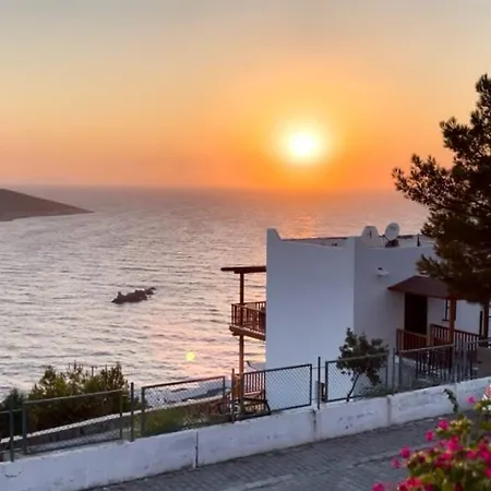 The Aegean Nest *