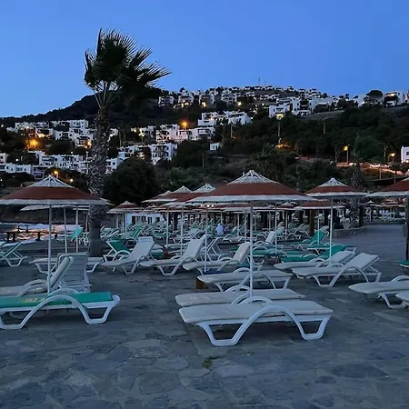 The Aegean Nest *