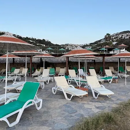 The Aegean Nest * Bodrum